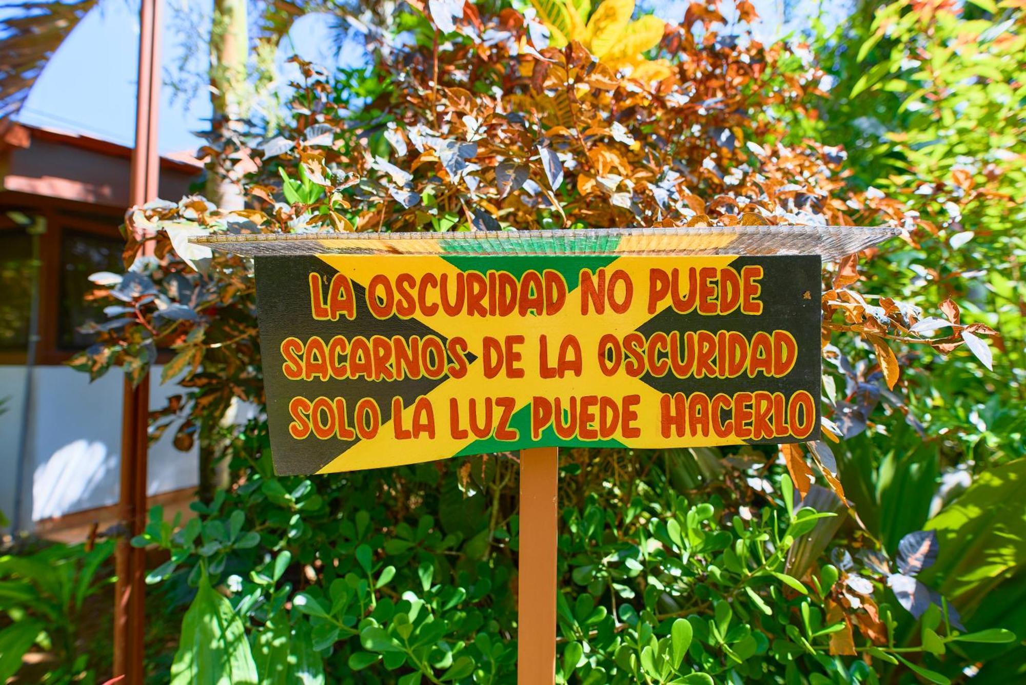 Casa Coki - Modern Villa Pool Steps From The Beach Puerto Viejo de Talamanca Экстерьер фото