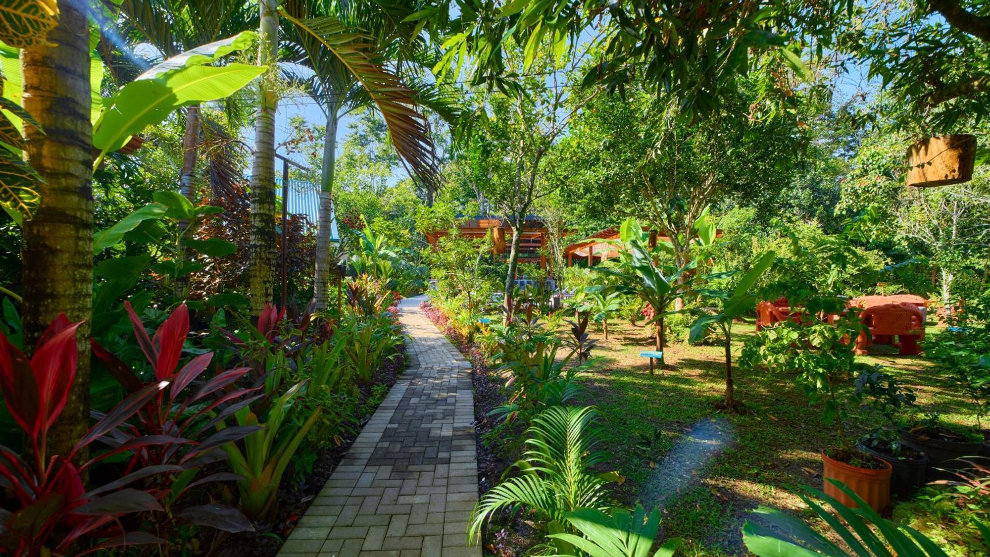 Casa Coki - Modern Villa Pool Steps From The Beach Puerto Viejo de Talamanca Экстерьер фото